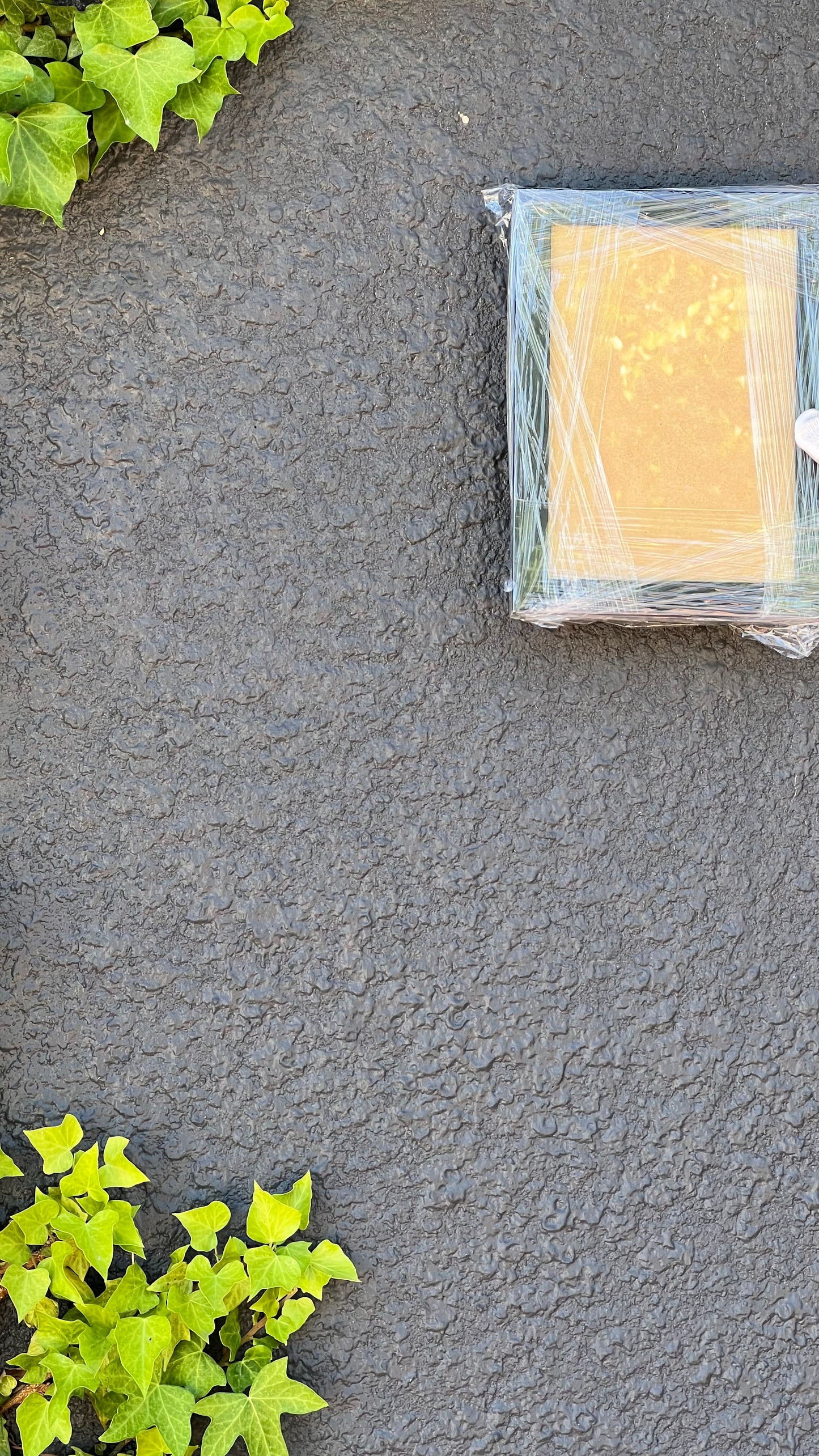 Black Picture Frame 6”x8”