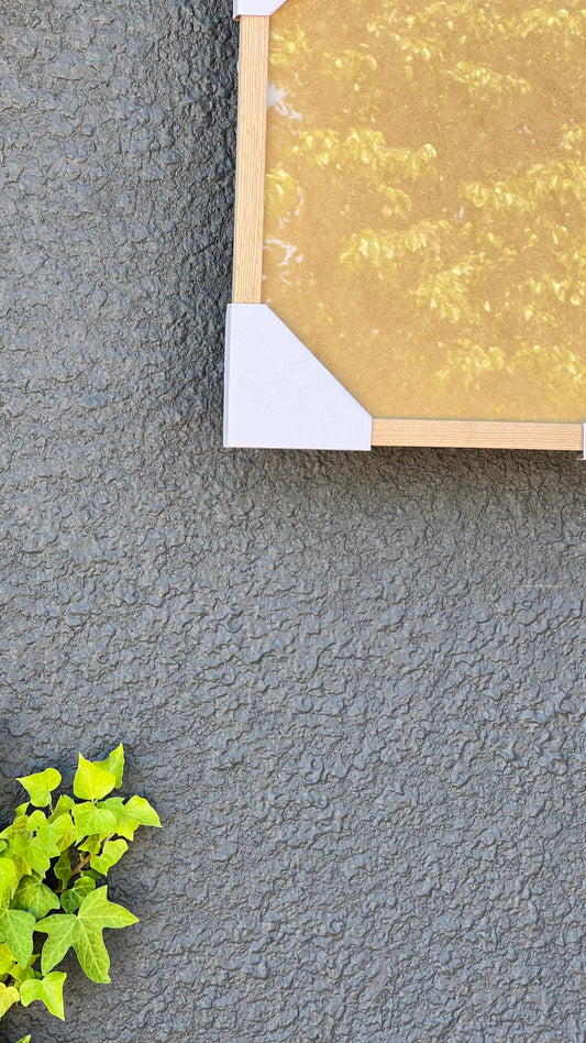 Oak Picture Frame 8”x10”