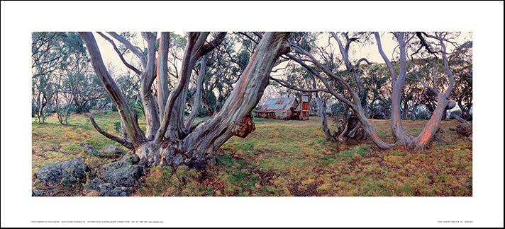 Ken Duncan High Country Shelter