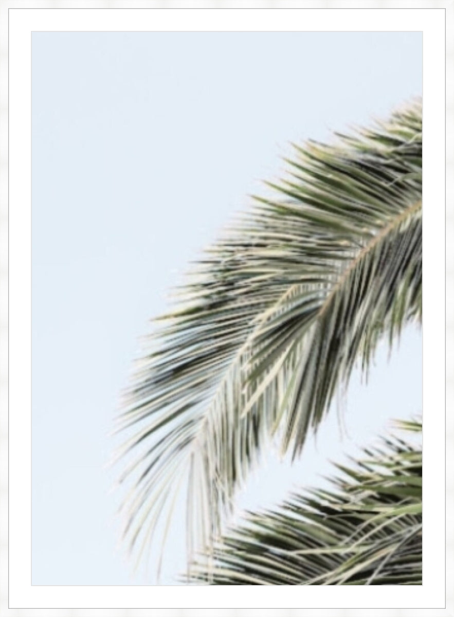 Summer Scape 1 - Brandon Hirsler