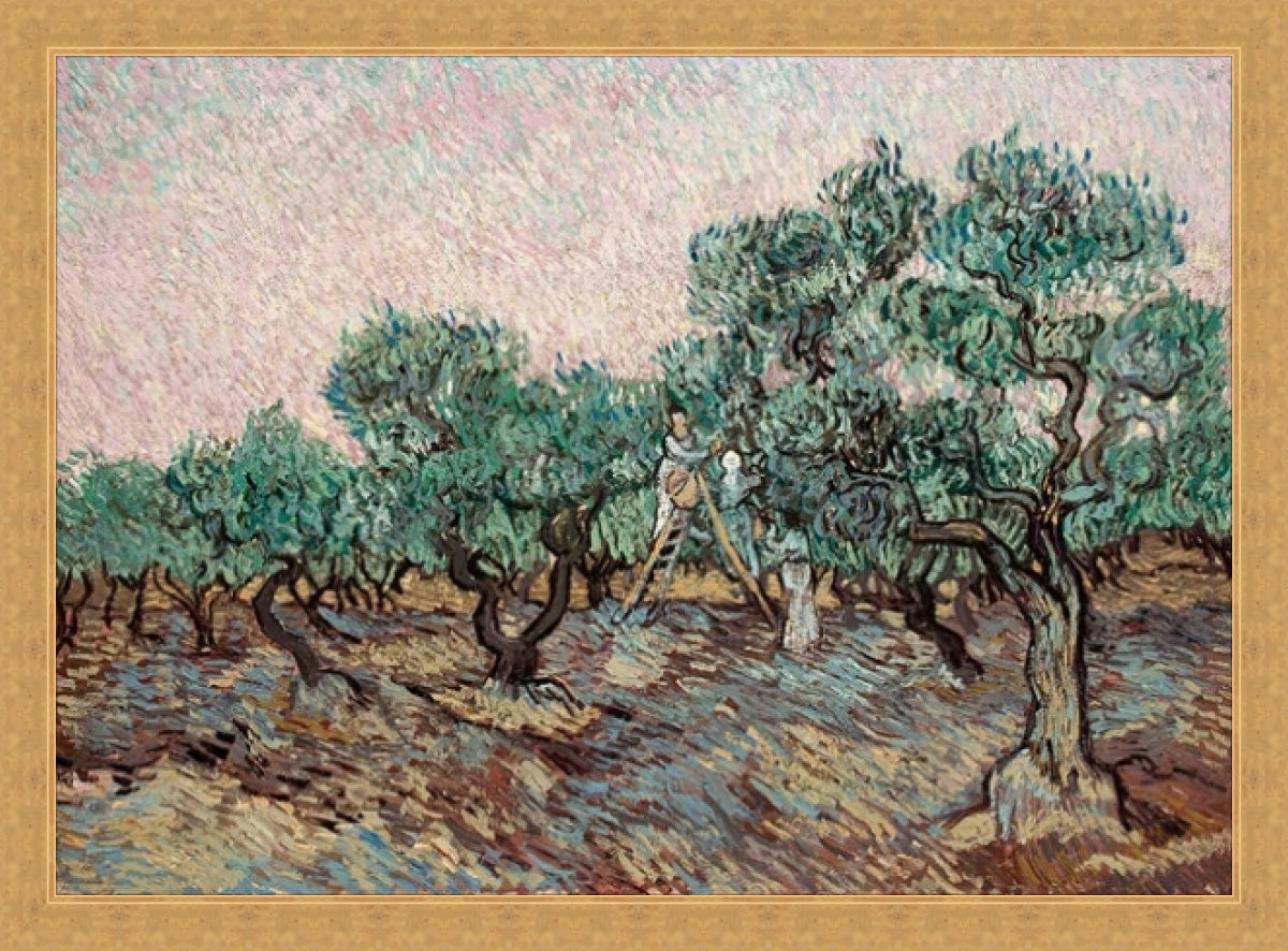 Van Gogh (Olive Picking) La Racolte D'Olive