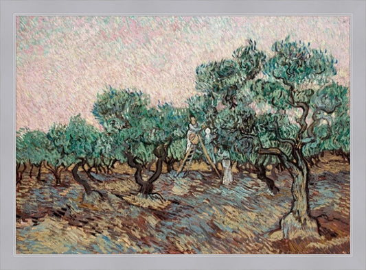 Van Gogh (Olive Picking) La Racolte D'Olive