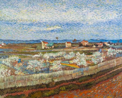 Peach Trees in Blossom by Vincent Van Gogh - Print