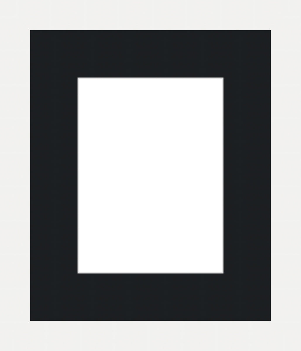 Picture Frame 8x10 Inch with 6x8 Mat | Custom Matted Frames Australia