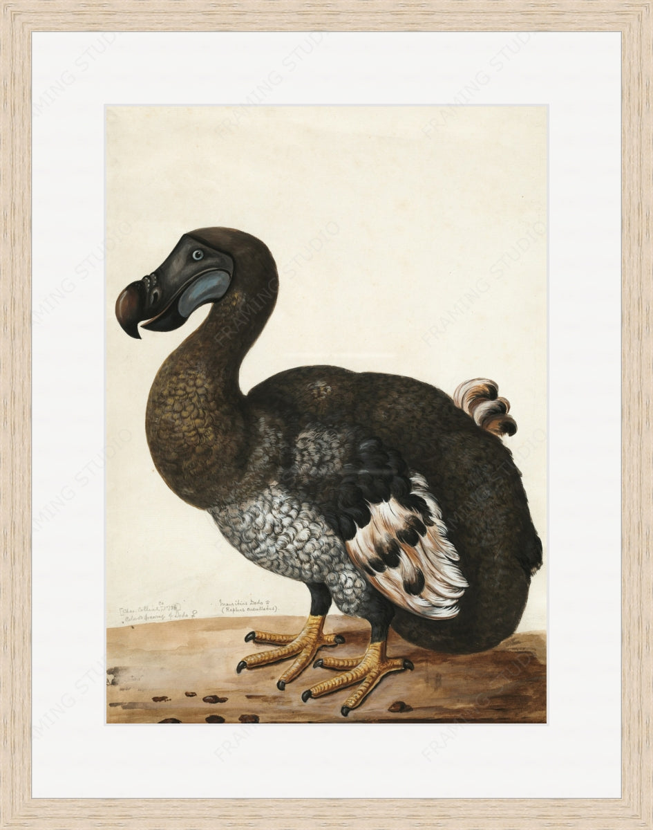 Custom Frame your paper art here