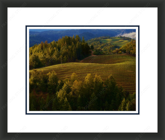 Frame Your University of Canberra Degree