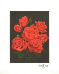 Red Roses by Andrew Patsalou - Print