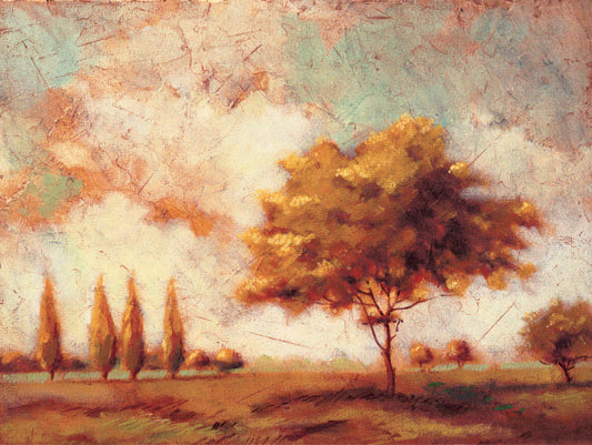 Tuscan Afternoon  I by Patrick (Yuri P Darashkevich) - Print