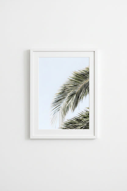 A framed print of a photograph featuring a close-up view of palm leaves with a white mat and a flat white frame.