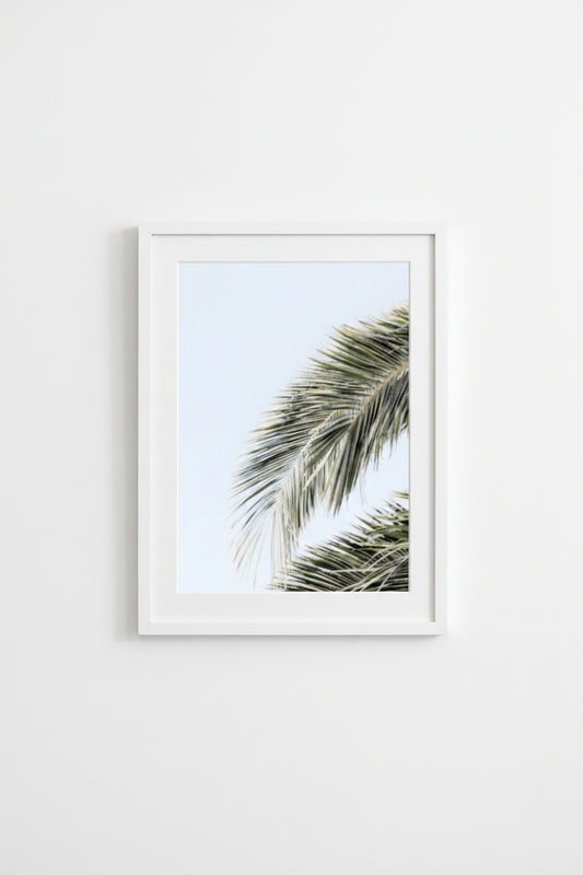 A framed print of a photograph featuring a close-up view of palm leaves with a white mat and a flat white frame.