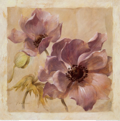 Anemone Passion -