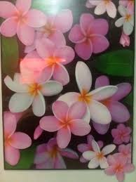 Candy Pink Frangipani