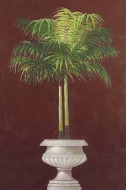 POTTED PALM RED IV BY WELBY