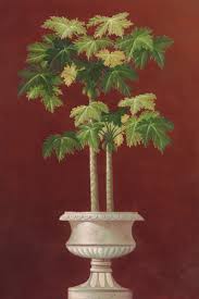 POTTED PALM RED IV BY WELBY