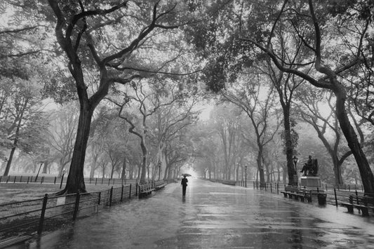 'Poets Walk' Central Park, New York City by Henri Silberman - Print