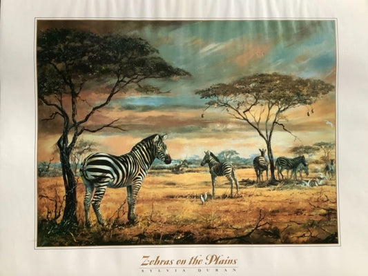 Zebras on the Plains by Sylvia Duran - Print