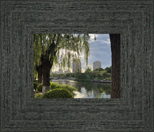 Frame Only